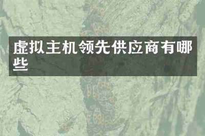 虚拟主机领先供应商有哪些