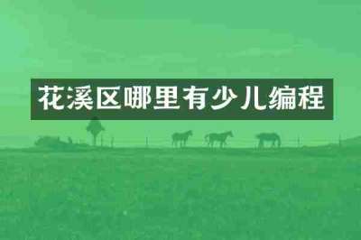 花溪区哪里有少儿编程