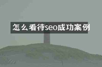 怎么看待seo成功案例