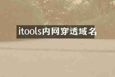 itools内网穿透域名