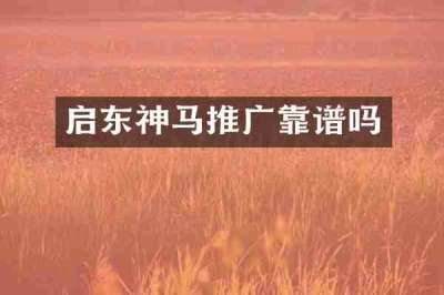 启东神马推广靠谱吗