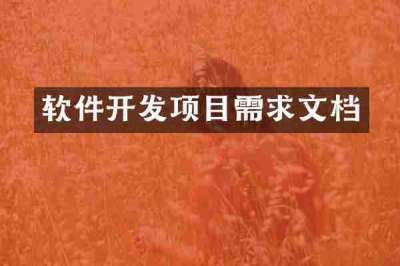 软件开发项目需求文档