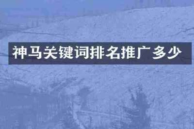 神马关键词排名推广多少