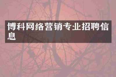 博科网络营销专业招聘信息