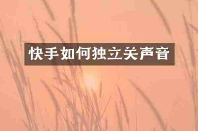 快手如何独立关声音