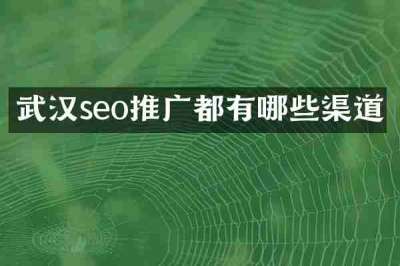 武汉seo推广都有哪些渠道