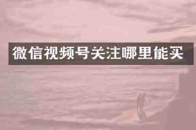 微信视频号关注哪里能买