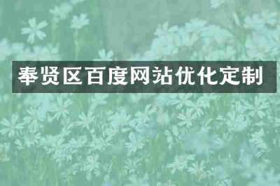 奉贤区百度网站优化定制