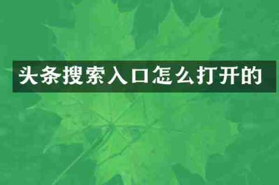 头条搜索入口怎么打开的