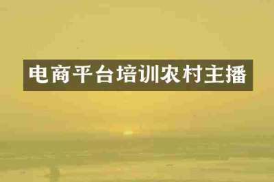 电商平台培训农村主播