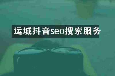 运城抖音seo搜索服务