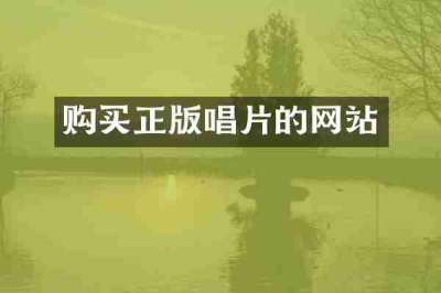 购买正版唱片的网站