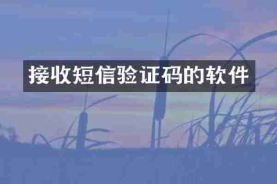接收短信验证码的软件