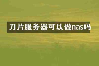 刀片服务器可以做nas吗