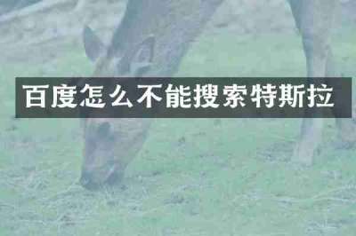 百度怎么不能搜索特斯拉