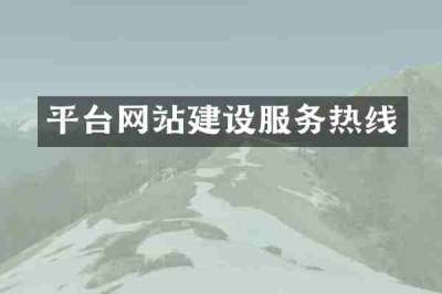 平台网站建设服务热线