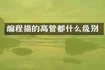 编程猫的高管都什么级别