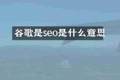 谷歌是seo是什么意思
