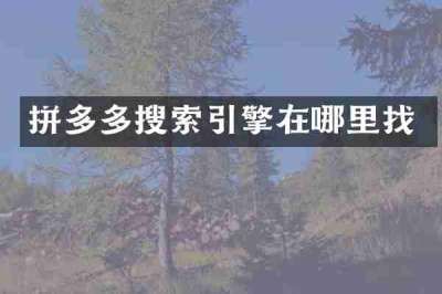 拼多多搜索引擎在哪里找