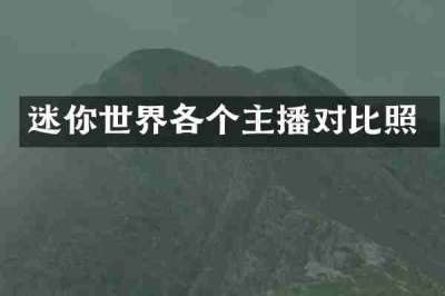 迷你世界各个主播对比照