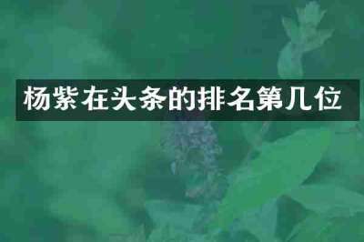 杨紫在头条的排名第几位