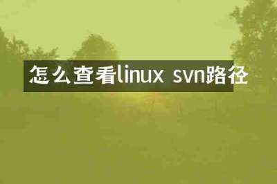 怎么查看linux svn路径