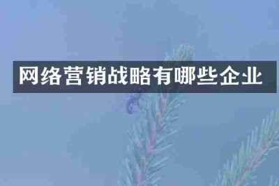网络营销战略有哪些企业