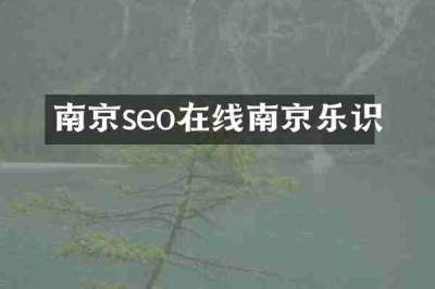 南京seo在线南京乐识