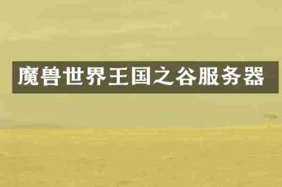 魔兽世界王国之谷服务器
