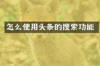 怎么使用头条的搜索功能
