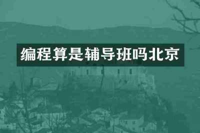 编程算是辅导班吗北京