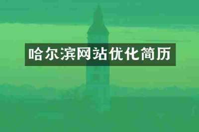 哈尔滨网站优化简历