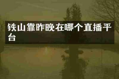 铁山靠昨晚在哪个直播平台