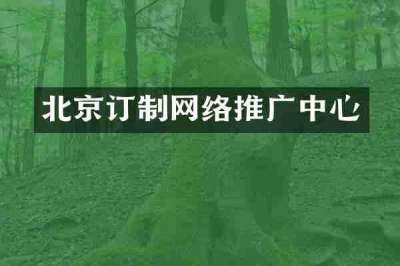 北京订制网络推广中心