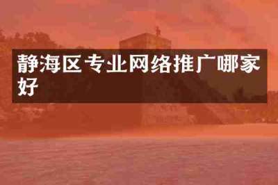 静海区专业网络推广哪家好