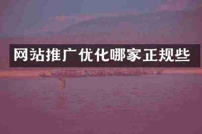 网站推广优化哪家正规些