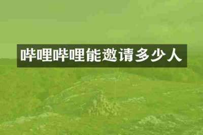 哔哩哔哩能邀请多少人