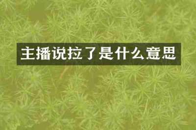 主播说拉了是什么意思
