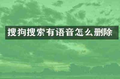 搜狗搜索有语音怎么删除