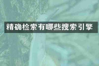 精确检索有哪些搜索引擎