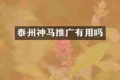 泰州神马推广有用吗