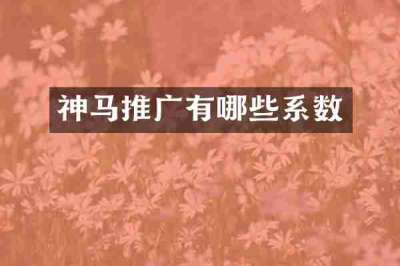 神马推广有哪些系数