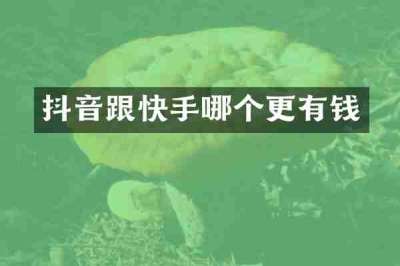 抖音跟快手哪个更有钱