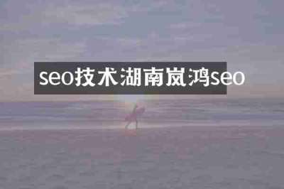 seo技术湖南岚鸿seo