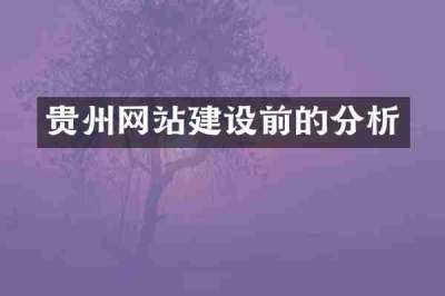 贵州网站建设前的分析