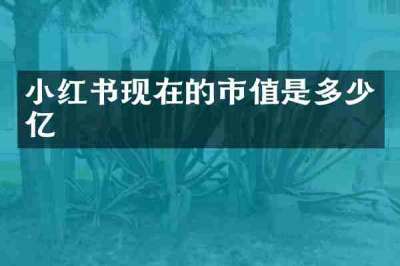 小红书现在的市值是多少亿