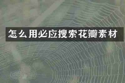 怎么用必应搜索花瓣素材