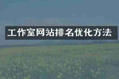 工作室网站排名优化方法