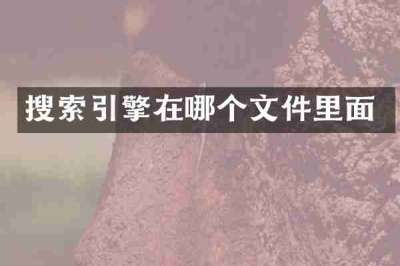 搜索引擎在哪个文件里面