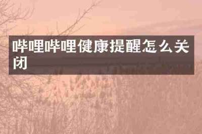 哔哩哔哩健康提醒怎么关闭